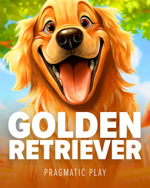 Golden Retriever cover