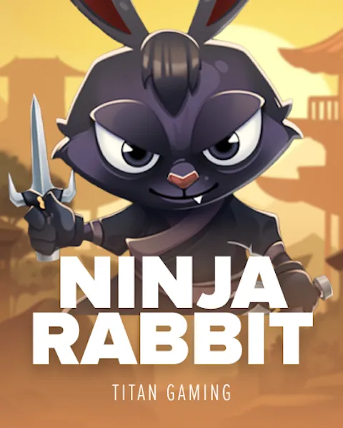 Ninja Rabbit cover